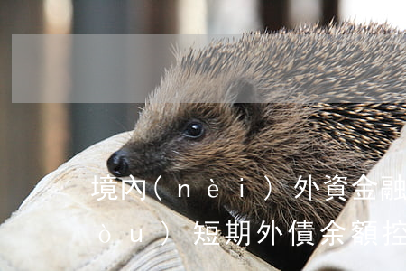 境內(nèi)外資金融機(jī)構(gòu)短期外債余額控制指標(biāo)的審批