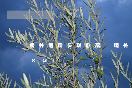 境外信用卡利息高嗎(境外用信用卡有手續(xù)費)