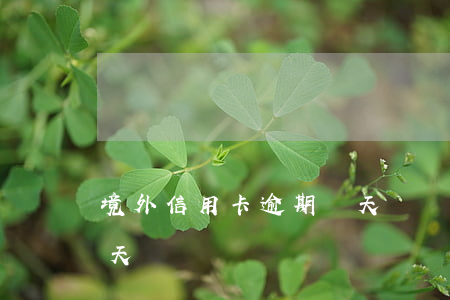 境外信用卡逾期兩天沒還(境外信用卡逾期兩天沒還)
