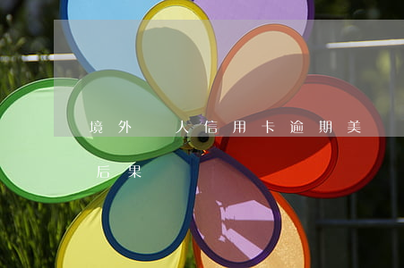 境外個人信用卡逾期(美國人信用卡逾期不還后果)