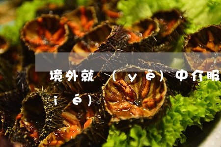 境外就業(yè)中介服務(wù)協(xié)議書