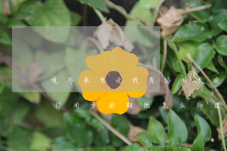 境外来电说我有信用卡逾期(境外来电说我有信用卡逾期他怎么知道我的身份证号码)