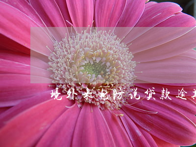 境外来电防说贷款逾期