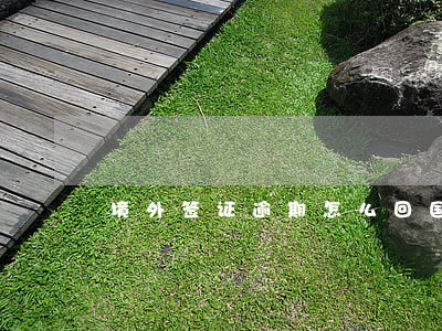境外签证逾期怎么回国