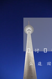 墊付單被騙了怎么追回本金(墊付單被騙了怎么追回本金報(bào)警有用嗎)