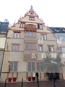 墊付單被騙了怎么追回本金(墊付單被騙了怎么追回本金超過(guò)兩個(gè)月了還能追的回來(lái)嗎)