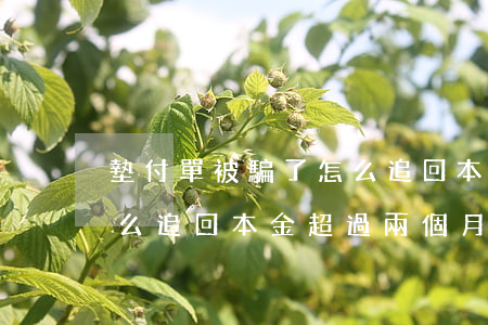 墊付單被騙了怎么追回本金(墊付單被騙了怎么追回本金超過兩個月了還能追的回來嗎)