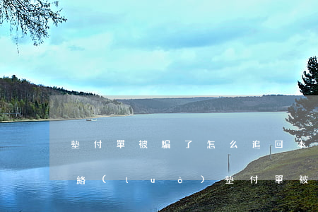 墊付單被騙了怎么追回本金(網(wǎng)絡(luò)墊付單被騙了怎么追回本金)