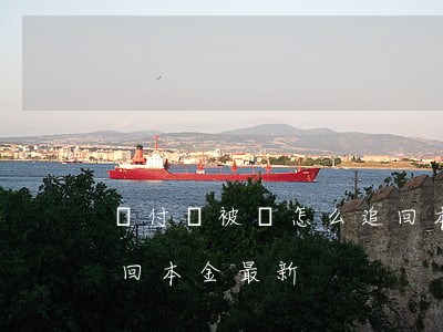 墊付單被騙怎么追回本金(墊付單被騙怎么追回本金最新)