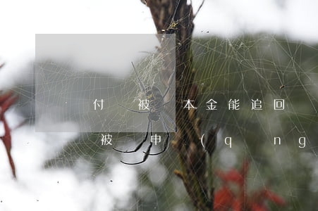 墊付單被騙本金能追回來(lái)嗎?(墊付單被騙,申請(qǐng)退款)