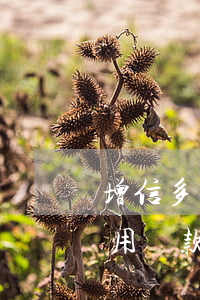 增信多次逾期影響貸款(貸款逾期兩次影響信用貸款嗎)