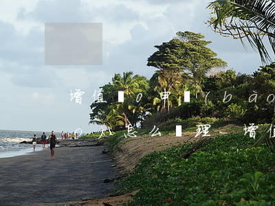 增值稅0申報(bào)逾期未申報(bào)怎么處理-增值稅0申報(bào)逾期要罰款嗎
