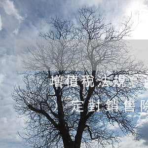 增值稅法規(guī)(增值稅法規(guī)定,對銷售除什么以外的其他酒類)
