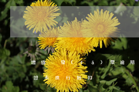 增值稅發(fā)票逾期未抵扣（稅票逾期認證未進行抵扣）