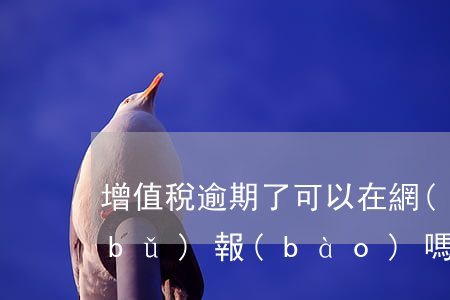 增值稅逾期了可以在網(wǎng)上補(bǔ)報(bào)嗎-增值稅逾期了現(xiàn)在能網(wǎng)上申報(bào)嗎