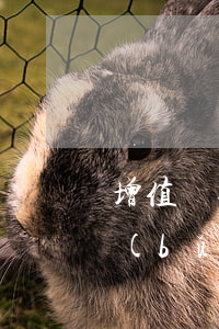 增值稅逾期未申報(bào)只能去稅局補(bǔ)么-增值稅逾期未申報(bào)的稅務(wù)怎么處理