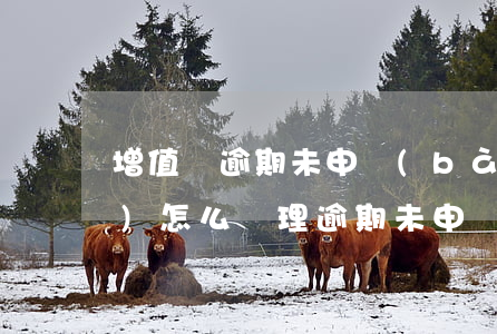 增值稅逾期未申報(bào)的稅務(wù)怎么處理（逾期未申報(bào)增值稅申報(bào)表）