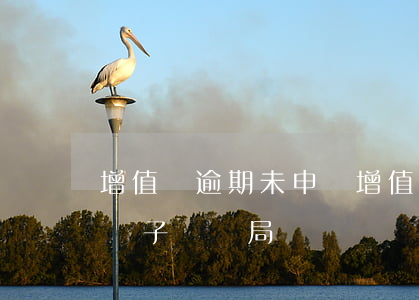 增值稅逾期未申報 增值稅逾期未申報怎么在電子稅務局補報