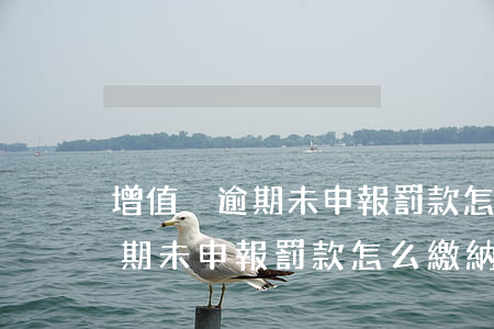 增值稅逾期未申報罰款怎么繳納-增值稅逾期未申報罰款怎么繳納的