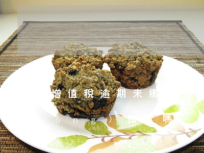 增值稅逾期未繳納錢會(huì)自動(dòng)扣款嗎-增值稅逾期未繳納錢會(huì)自動(dòng)扣款嗎怎么辦
