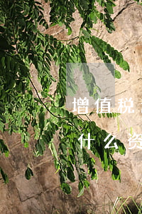 增值税逾期申报怎么办(增值税逾期申报需要什么资料)