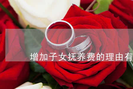 增加子女抚养费的理由有哪些？