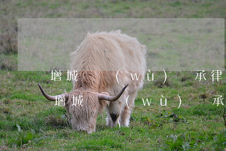 增城債務(wù)繼承律師收費(fèi) 增城債務(wù)繼承律師收費(fèi)多少錢(qián)