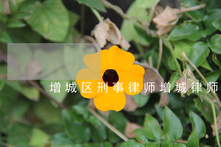 增城区刑事律师(增城律师在线咨询)