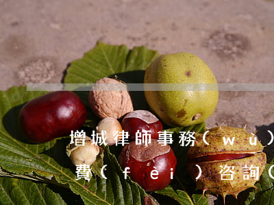 增城律師事務(wù)所有哪些(番禺律師免費(fèi)咨詢(xún)地址)