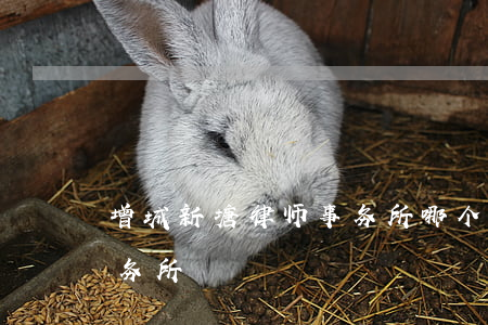 增城新塘律师事务所哪个好(广东增华律师事务所)