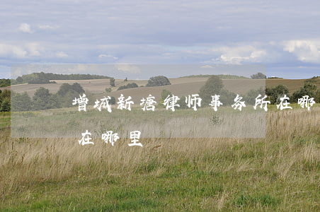 增城新塘律师事务所在哪里(增城新塘的法院在哪里?)