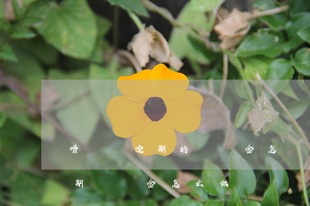 增稅稅逾期的滯納金怎樣做分錄-增值稅逾期滯納金怎么做賬