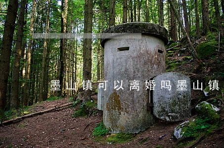 墨山镇可以离婚吗(墨山镇可以离婚吗)