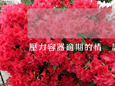 壓力容器逾期的情況說明怎么寫-
