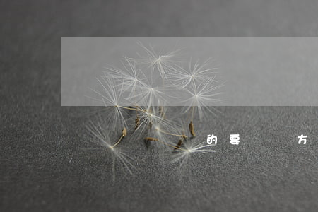 壞賬準備審計的要點與方法有哪些