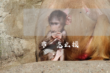 壟斷市場怎么投訴