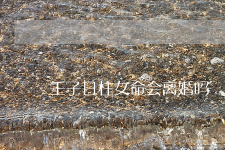 壬子日柱女命会离婚吗