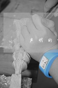 声明的前后法律效力(说明的法律效力)