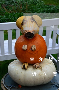 壹乐贷逾期多久会起诉(分期乐贷款逾期被起诉立案后怎么解决)