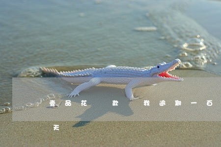 壹品花貸款說我逾期一百多天(一品貸逾期一天)
