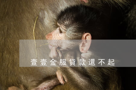 壹壹金服貸款還不起