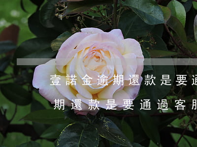 壹諾金逾期還款是要通過客服還嗎(壹諾金逾期還款是要通過客服還嗎)