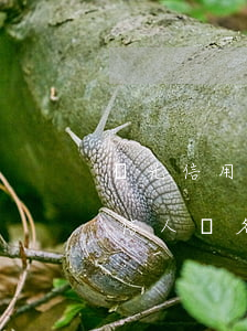 壽光信用卡逾期人員名單(長壽區(qū)失信人員名單)