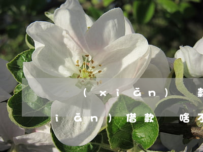 壽險(xiǎn)貸款假如還不起(壽險(xiǎn)借款為啥不能還款)