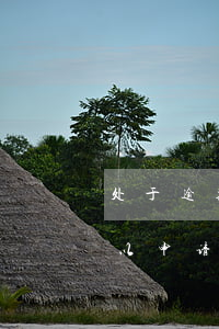 处于逾期状态可以申请信用卡m-逾期后可以申请信用卡吗