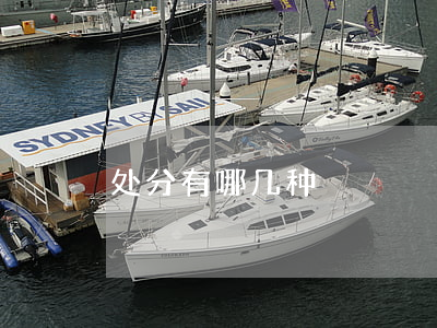 处分有哪几种
