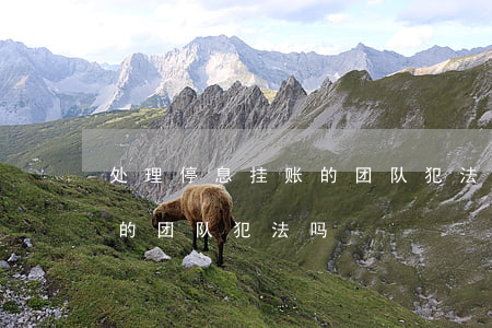 处理停息挂账的团队犯法吗-处理停息挂账的团队犯法吗