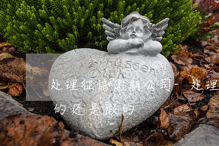 处理征信逾期公司-处理征信逾期公司是真的还是假的