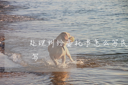 处理纠纷委托书怎么写(民事纠纷委托书怎么写)