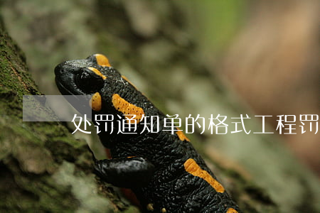 处罚通知单的格式（工程罚款通知单格式）